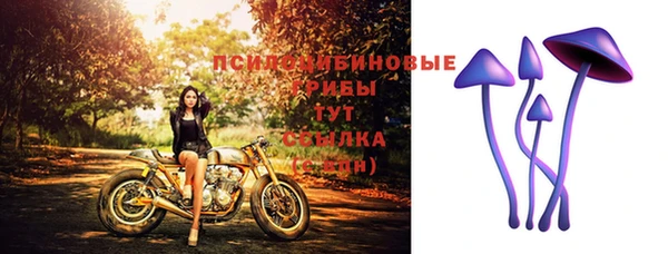 мескалин Михайлов