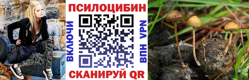 Псилоцибиновые грибы мицелий  Химки 